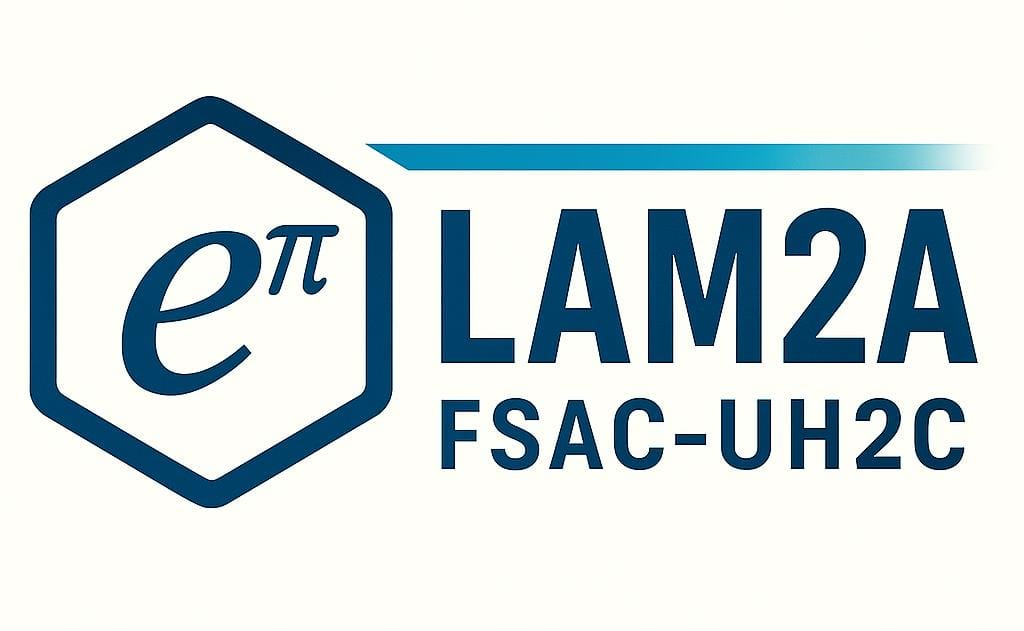 Laboratory of Mathematical Analysis, Algebra, and Applications (LAM2A)